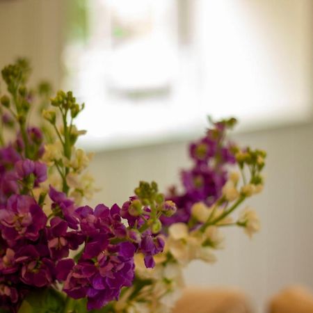 The Potting Shed, 5* Luxury Escape Cirencester Buitenkant foto