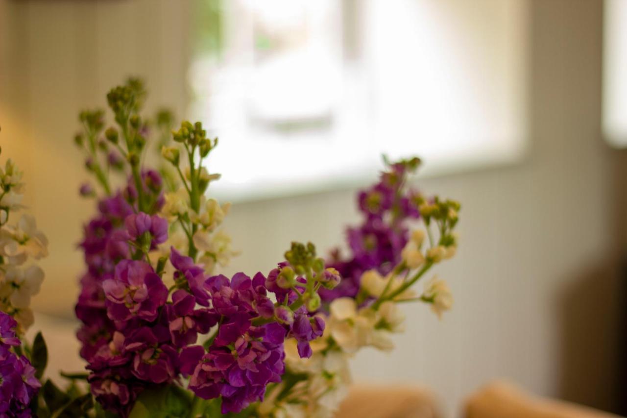 The Potting Shed, 5* Luxury Escape Cirencester Buitenkant foto
